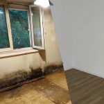 Schimmelsanierung/Abdichtung